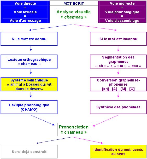 modelelecture