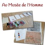 Au Musée de l’Homme