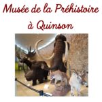 A la découverte du Musée de la Préhistoire à Quinson